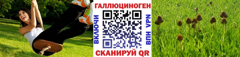 Псилоцибиновые грибы мицелий  Инсар 