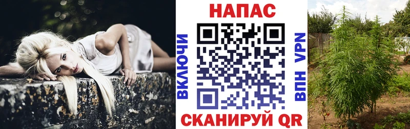 Марихуана планчик  Инсар 